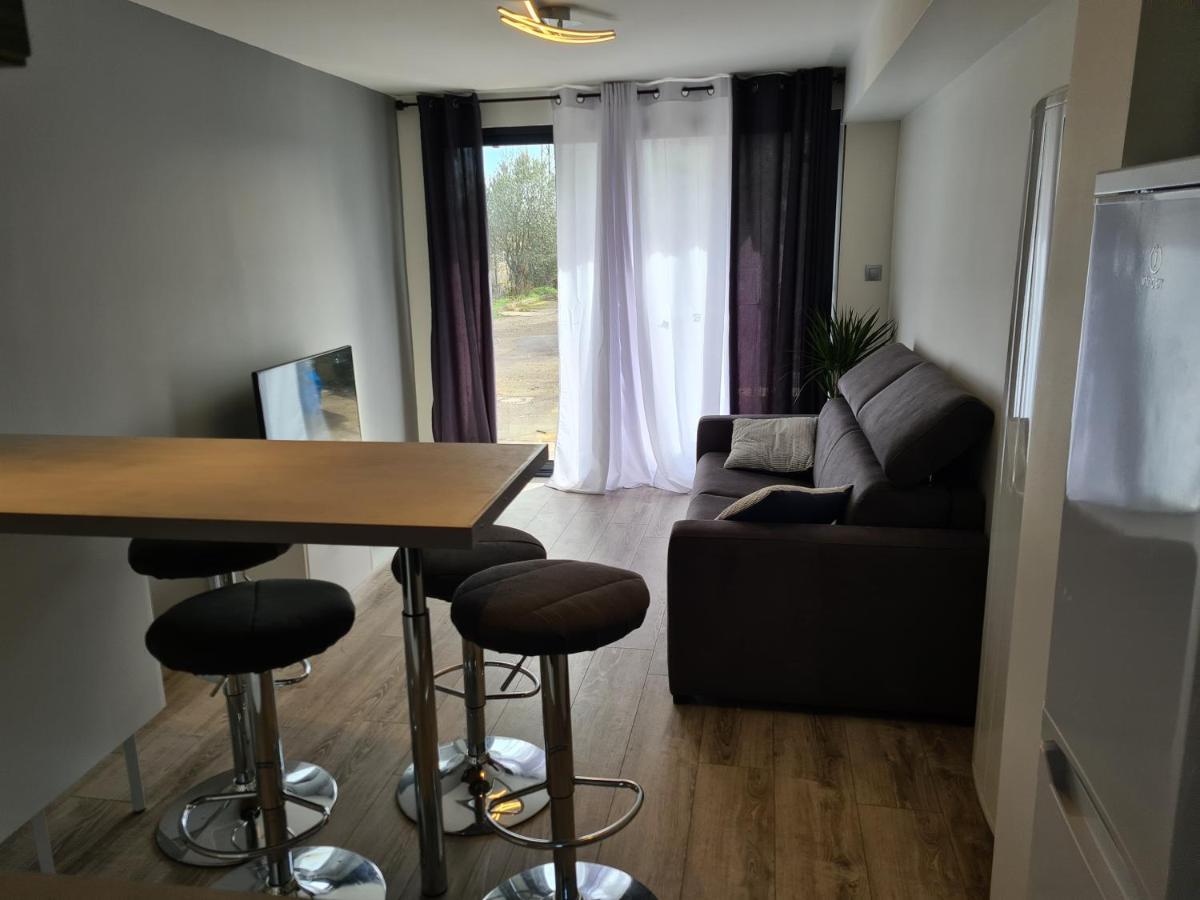 Spacieux Studio Dans Le Beaujolais Saint-Georges-de-Reneins Εξωτερικό φωτογραφία